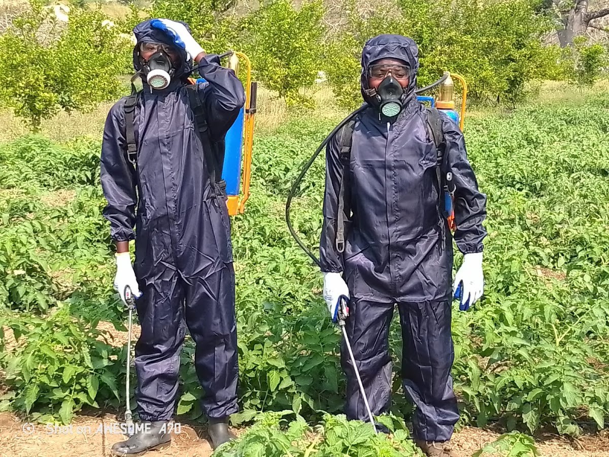 Trabalhadores equipados durante o tratamento de uma cultura